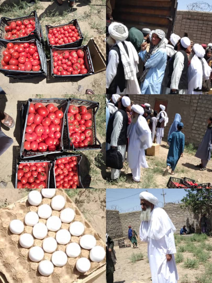تصویر خبر